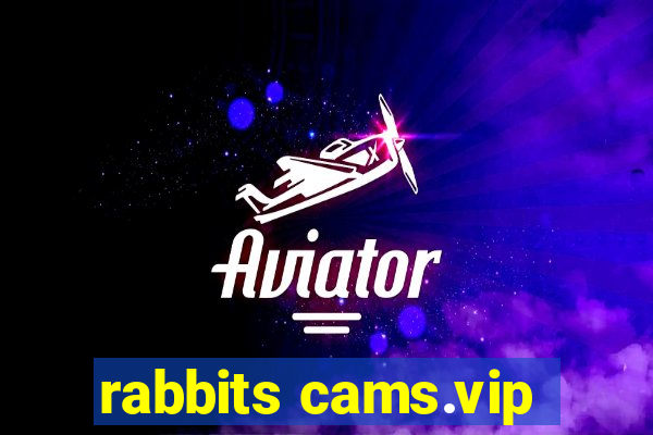 rabbits cams.vip